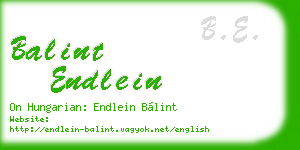 balint endlein business card